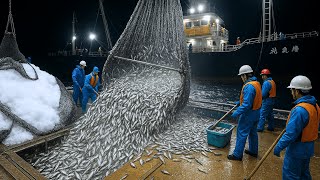 Extreme Scene! Seafood Factory – Producing Millions of Mackerel Cans On Site