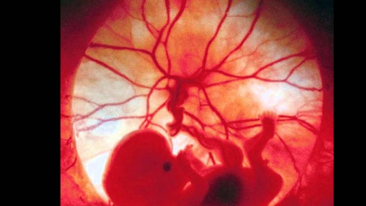 Saptamana 14 De Sarcina Youtube