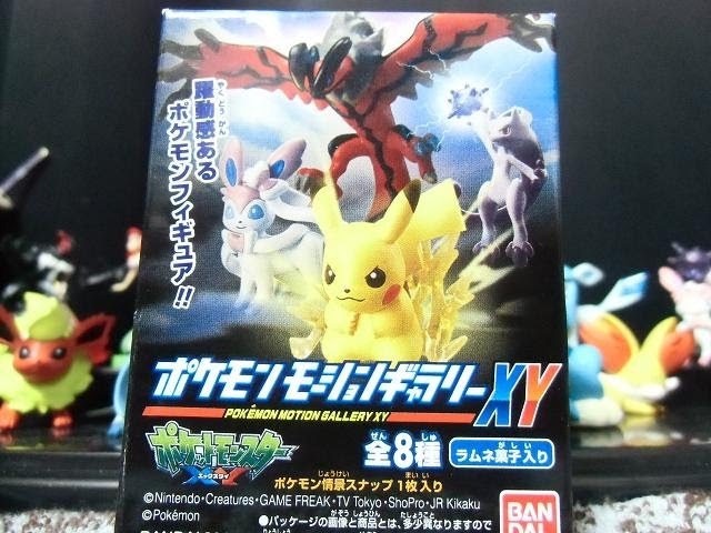 Pokemon Motion Gallery XY 