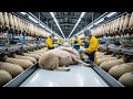 Inside the Sheep Wool Factory: The Complete A–Z Process to Million-Dollar Products