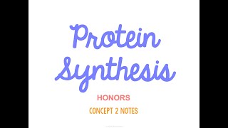 Unit 4 Genetics HONORS Concept 2 Notes *UPDATED*