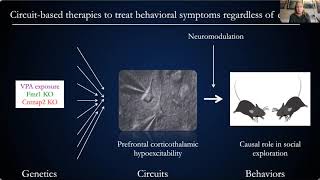 Audrey Brumback - Neuromodulation of prefrontal circuits in a mouse model of SETBP1 disorder