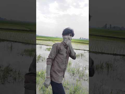 Kaluya call Kiya #bm7x #comedy #funny