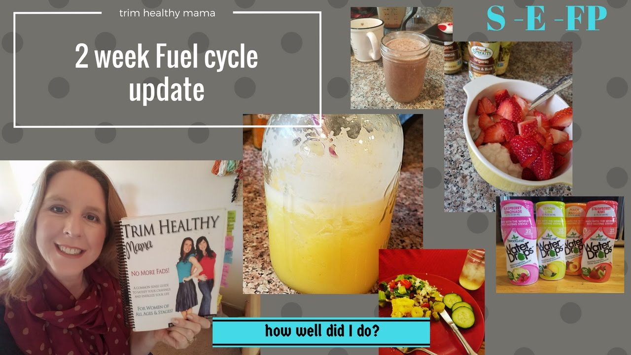 Trim Healthy Mama fuel cycle update2 weeks How did I do? YouTube