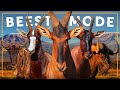 All 6 species of beest  the greatest migration on earth