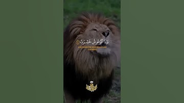 إذا الشمس كورت * وإذا النجوم انكدرت * وإذا الجبال سيرت - سورة التكوير بصوت الشيخ عبدالباسط عبدالصمد