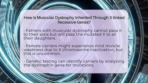 How Is Muscular Dystrophy Inherited Through X-linked Recessive Genes?