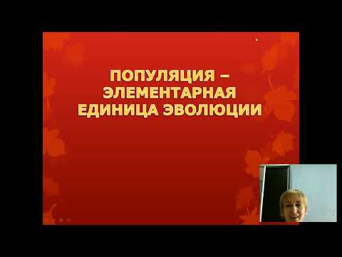 Популяция   единица эволюции