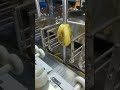 Automatic Mango Cutting Machine Automation Automatic Mango Cutting Machine Automation