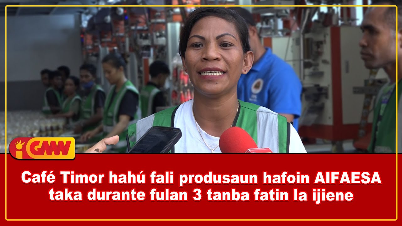 Café Timor hahú fali produsaun hafoin AIFAESA taka durante fulan 3 tanba fatin la ijiene