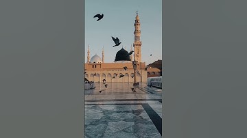 #راحة_نفسية #قرآن #المصحف #اكسبلور #تيك_توك #بدون #تلاوة_خاشعة #تجويد #quran