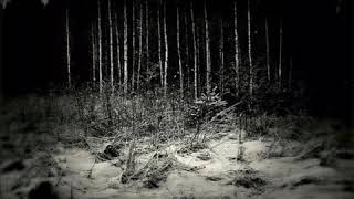 Seclusion -Skies Veiled in Black (full demo)