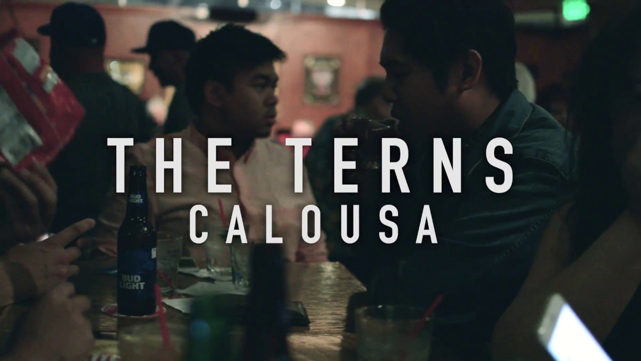 Watch The Terns - Calousa on YouTube Watch The Terns - Calousa on YouTube