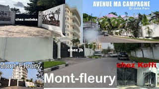 JOLIE PARC MA CAMPAGNE MONT-FLEURY YABA MOLEKA CHEZ KOFFI JB IMAGE YA MBOKA QUARTIER MOBIMBA