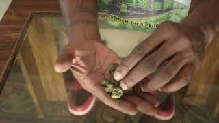 Is Krazy Runtz from Thca Small Buds...Gas or Trash?