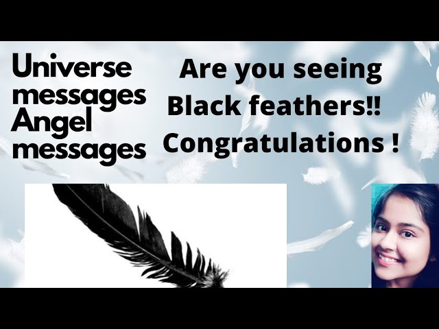 Black Feather Meaning And Symbolism