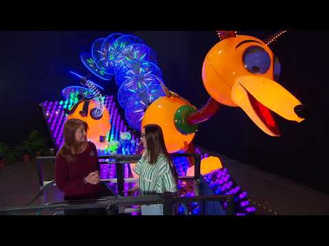 Behind the Scenes Look at Paint The Night Parade in Disney California Adventure