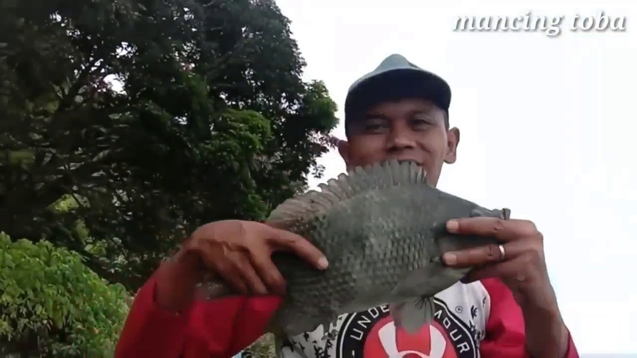 7 SPOT TERBAIK/FAPORIT PEMANCING DANAU TOBA