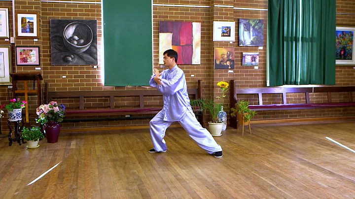 Tai Chi 24 Form Slow Motion with Instructions