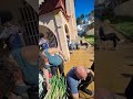TRADICIÓ CATALANA!! 