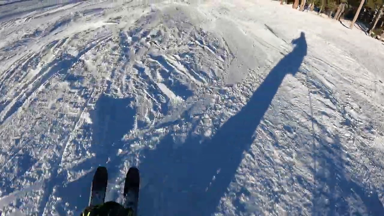 Hevenly Jan 2026 Ripping it up