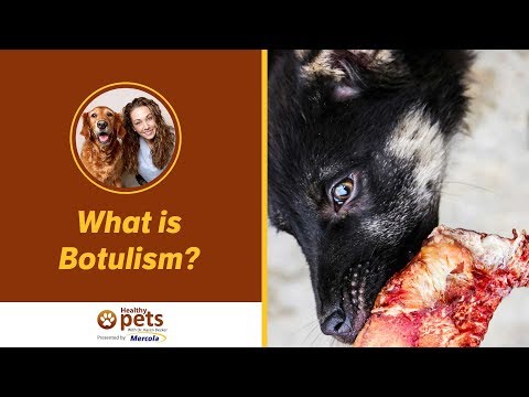 Video: Botulism Hauv Cats