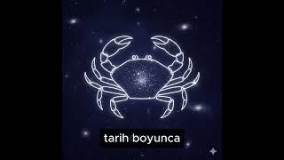 Cancer (Yengeç) Takımyıldızı ve Messier 44 (Arı Kovanı) Kümesinin Sırları