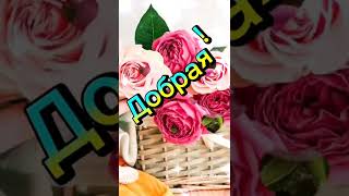 Ты самая лучшая!