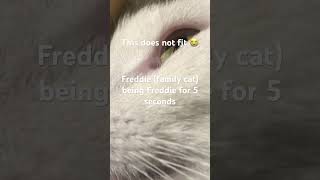 Who Made This Trend Tho