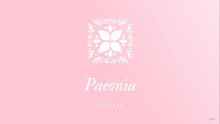 BUSTERS (버스터즈) - PAEONIA [🎧 8D USE HEADPHONES 🎧]