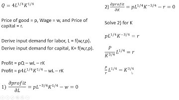 Deriving Input Demand Functions from Cobb-Douglas Production Function