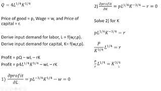 Deriving Input Demand Functions from Cobb-Douglas Production Function