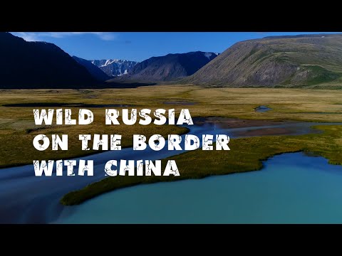 Video: Altai Kaprifol
