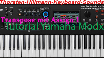Yamaha Modx Tutorial deutsch Transpose mit Assign Button Montage