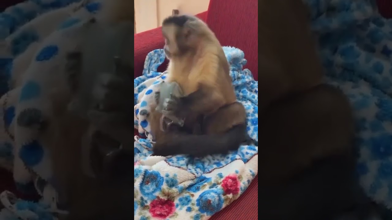 24 октября 2024 г.