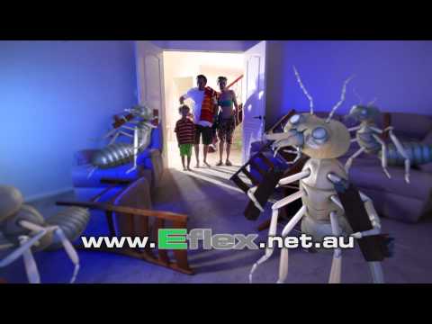 FMC "Back from Holidays" Termite TVC 1080p 15sec