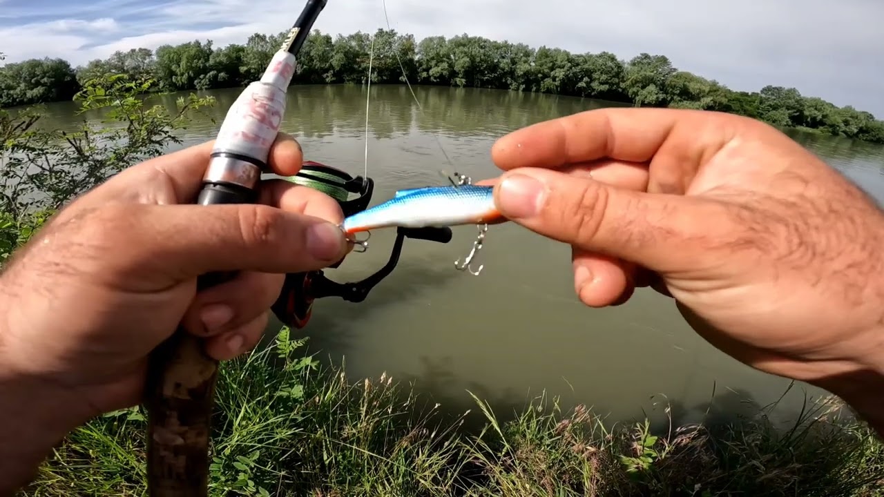 Pescuit pe râul Argeș la avat! C&R