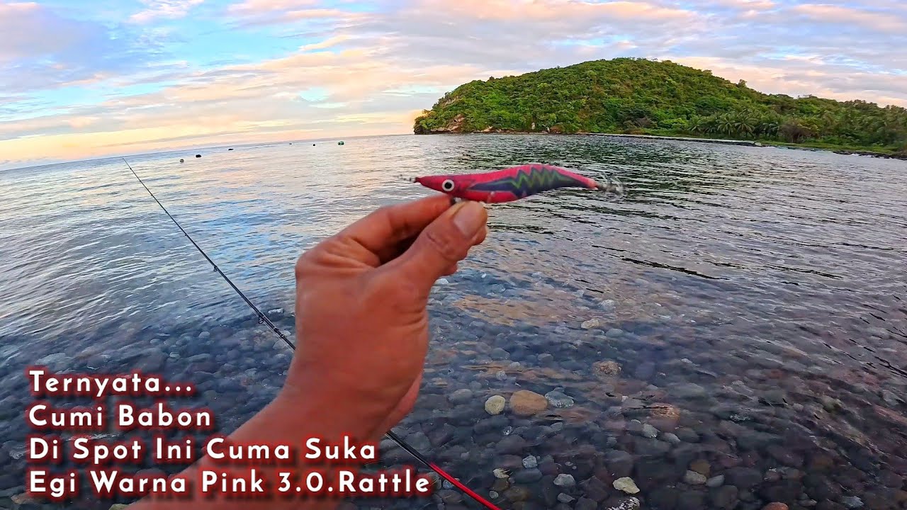 Mocel strike... Panen Strike... Di bikin kewalahan dengan cumi di spor ini || Mancing cumi di laut 