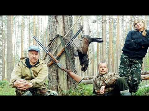 Как охотнику и