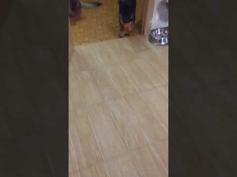 Смотреть клип Зерон Гранж фом Фестбург 2,5 мес онлайн бесплатно в качестве Смотреть клип Зерон Гранж фом Фестбург 2,5 мес онлайн бесплатно в качестве