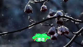 召會-建造-大本603