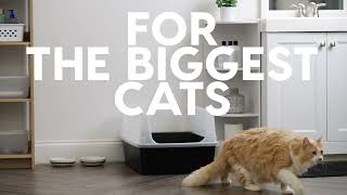 Iris Extra Large Cat Litter Box Clh-Xl