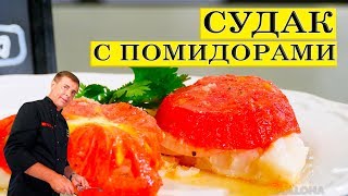 Судак с помидорами | Простой вкусный рецепт | ENG SUB. Судак с помидорами | Простой вкусный рецепт | ENG SUB.
