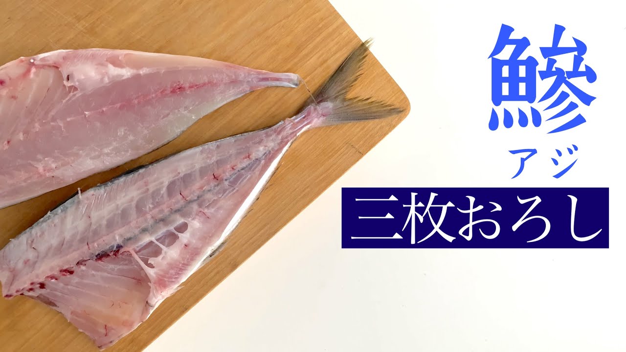 【ゆっくりさばく】アジ　三枚おろし　ゼイゴ〜皮引きまで