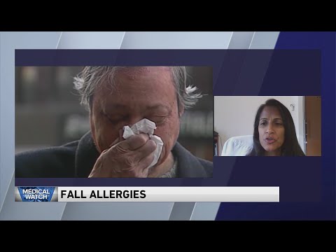 Chicago Area Allergy Report