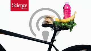 Famous Podcast (audio only): The worst year ever and the effects of fasting Net Worth