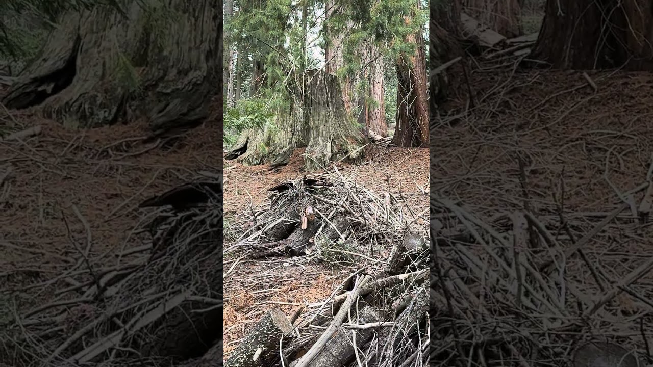 Выражаю благодарность сотрудникам национальных парков за их работу по охране природы.