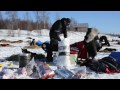 Our Alaska: Iditarod