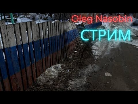 Видео: Откъде произхожда тибиалният нерв?