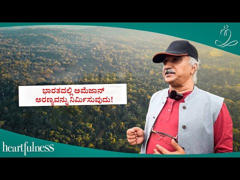 ಬಂಜರು ಭೂಮಿಯಲ್ಲಿ ಮಳೆಕಾಡೆ? ದಾಜಿಯ ದೂರದರ್ಶಿತ್ವ ನಿಜವಾಗುತ್ತಿದೆ!